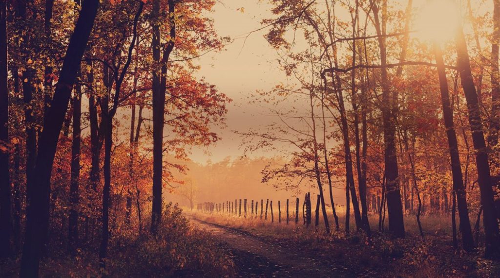 cali septiembre 2018