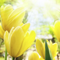 la castellana abril 2019