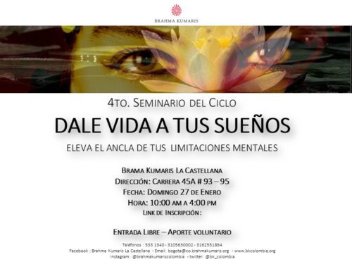 Seminario Dale vida a tus sueños Eleva el ancla de las limitaciones mentales.pptx