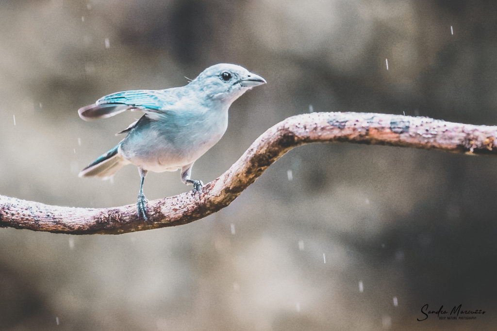 Medellín octubre 2019