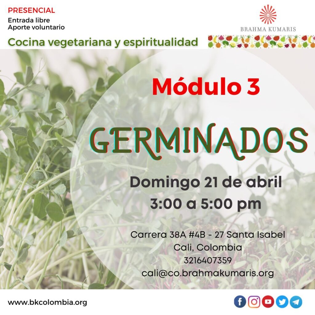 Cocina Veg Domin 21 Abril