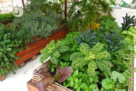 1-GAroofgarden-600x450_c-595x397_c