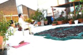 1-meditating-on-seeds-600x450_c-595x397_c