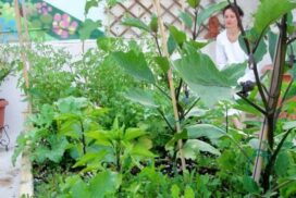 1-meditation-in-garden-600x800_c-595x397_c