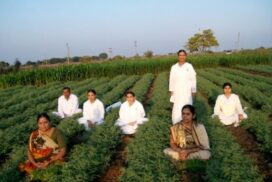 1-yoga-in-field-ii-600x450_c-595x397_c