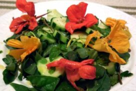 10423865_825109720835273_7686144559410692864_n-600x450_c-595x397_c