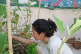 988235_639519209394326_1019897210_n-600x800_c-595x397_c