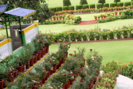 Captura de pantalla 2026-02-26 153642