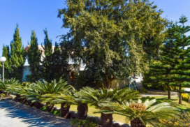 Captura de pantalla 2026-02-26 181313