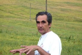 Piero6-600x459_c-595x397_c