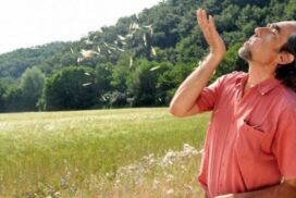 PieroWheat-600x337_c-595x397_c