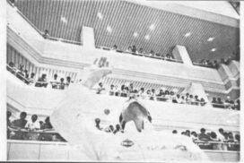 image1a-600x356_c-595x397_c