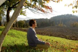 piero-yogic-farming-600x450_c-595x397_c