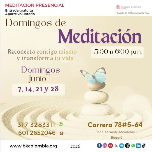 domingosd