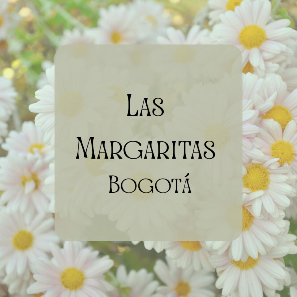 Las Margaritas